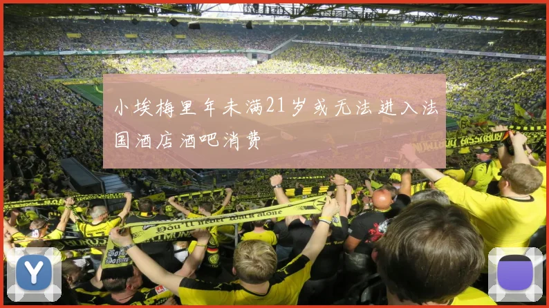 小埃梅里年未满21岁或无法进入法国酒店酒吧消费