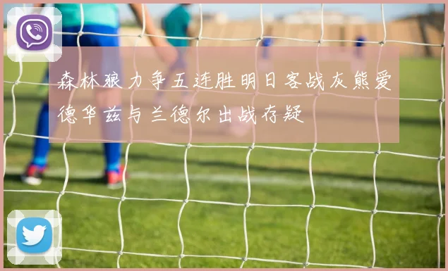 森林狼力争五连胜明日客战灰熊爱德华兹与兰德尔出战存疑